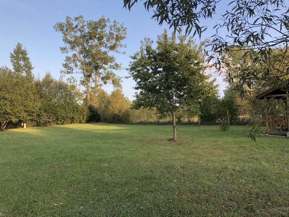 Działka rolno-budowlana Stawno. Zdjęcie 7