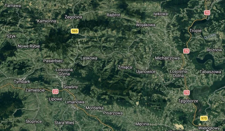 Działka leśna Jaworzna