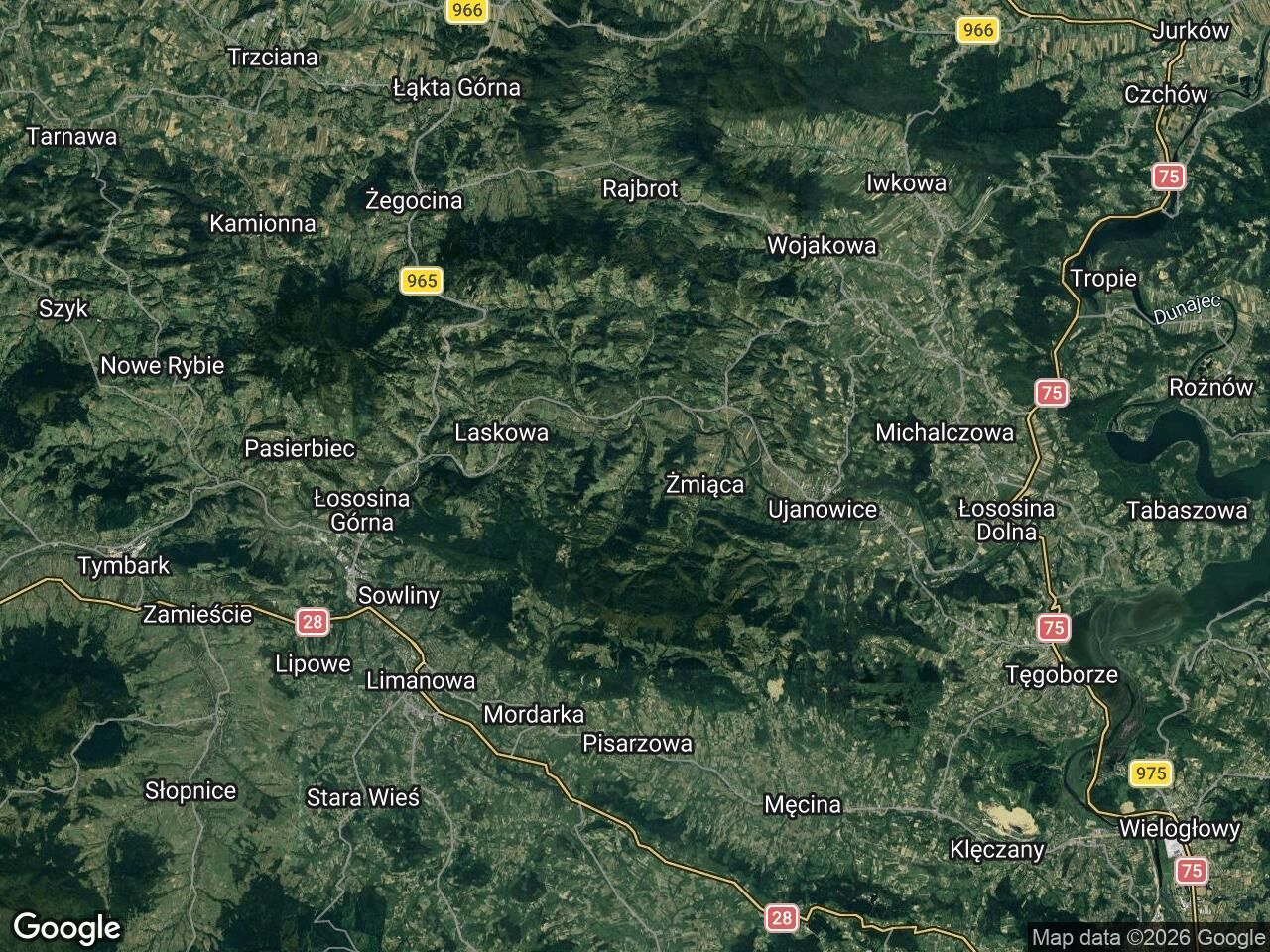 Działka leśna Jaworzna