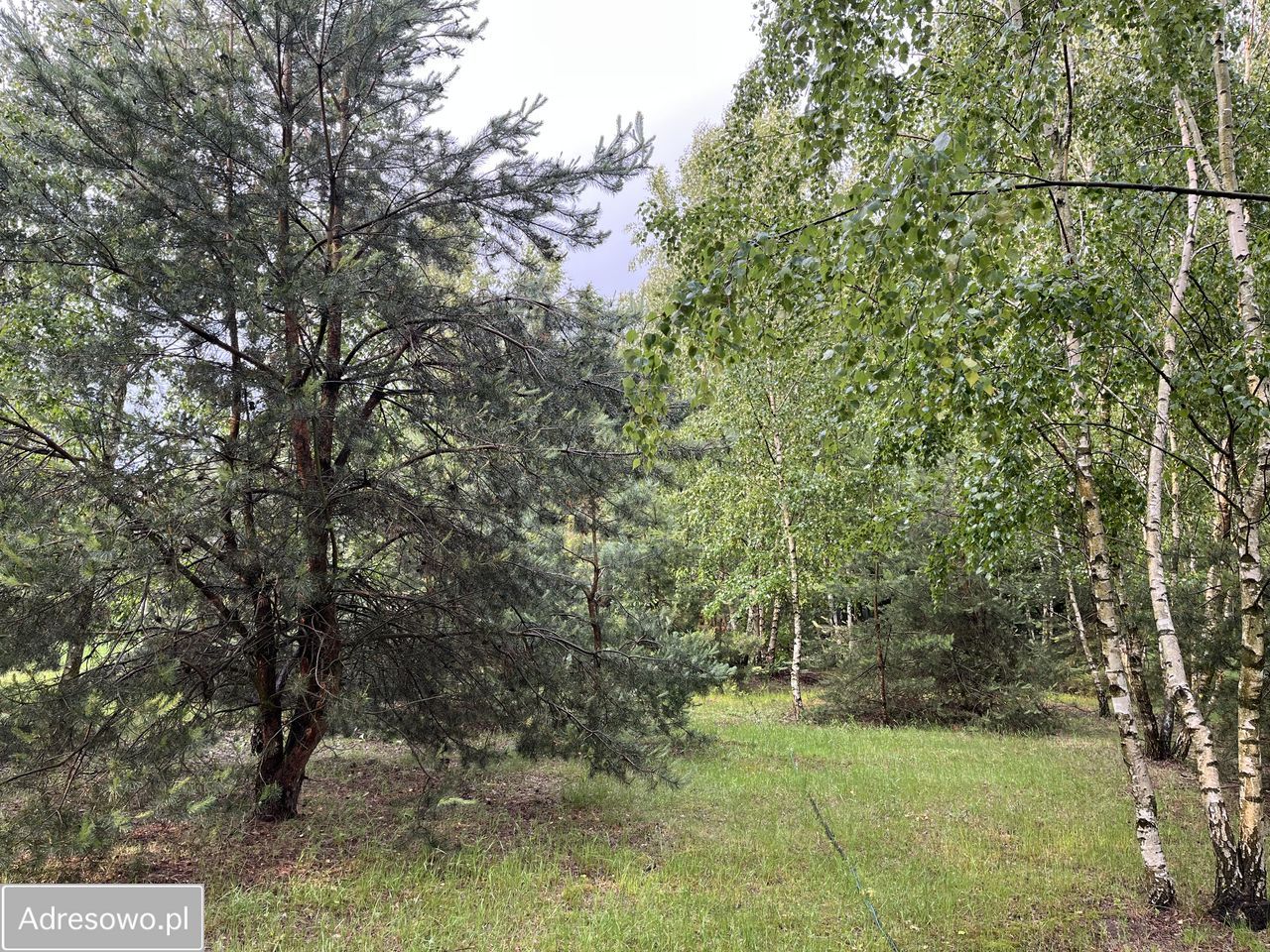 Działka budowlana Kalonka. Zdjęcie 8