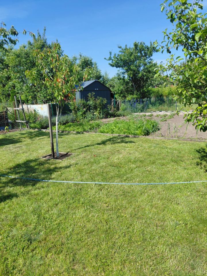 Działka rod Grochowiska. Zdjęcie 10