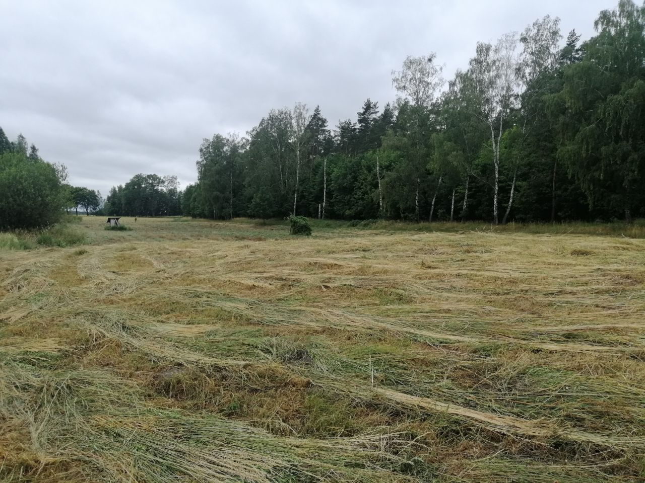 Działka rekreacyjna Szymonka. Zdjęcie 5