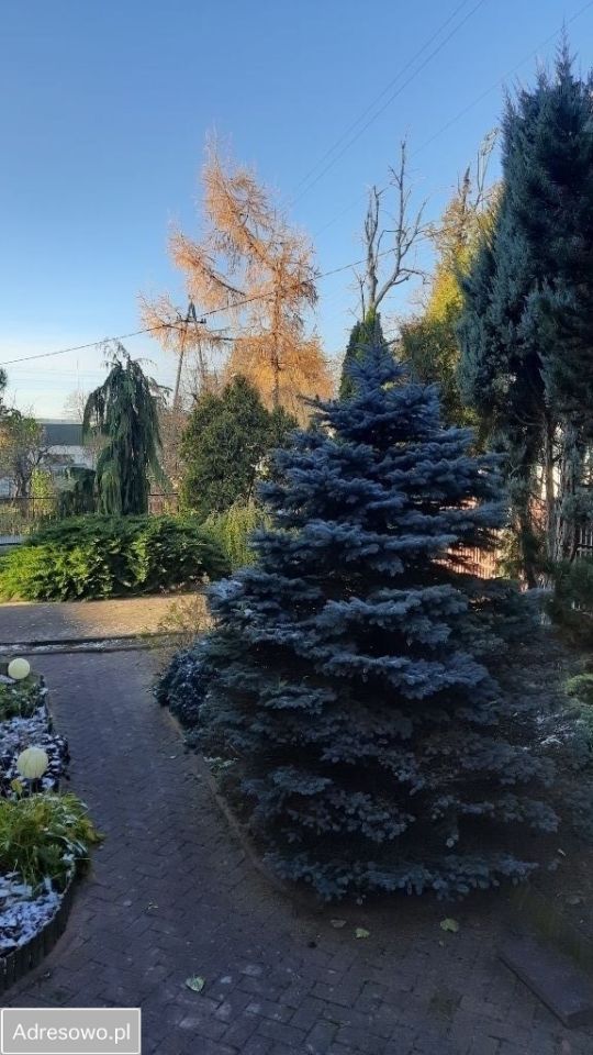 dom wolnostojący, 6 pokoi Łowicz, ul. Powstańców 1863 r.. Zdjęcie 8