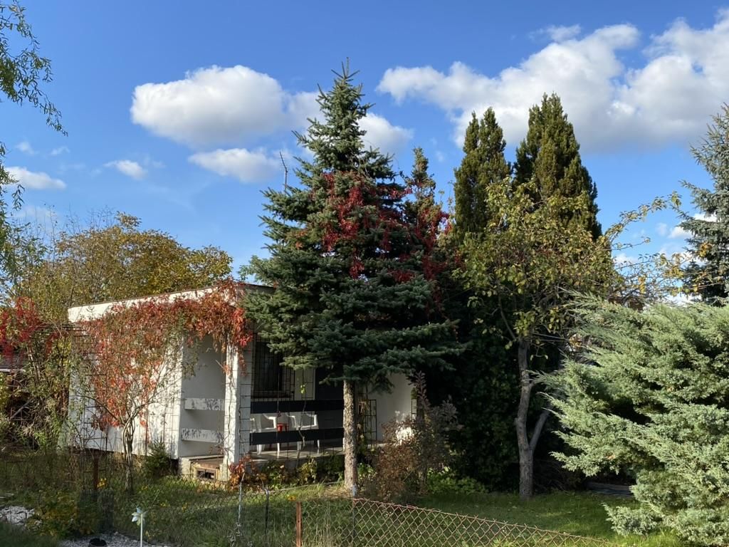 Działka rod Łódź Teofilów, Selerowa 25. Zdjęcie 2