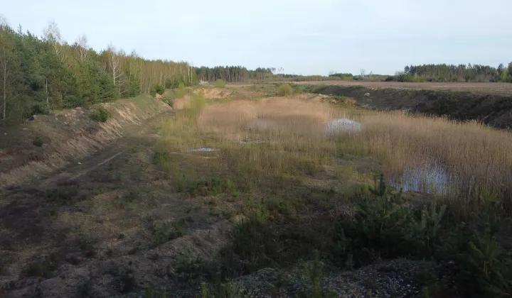 Działka inwestycyjna Rzepniewo