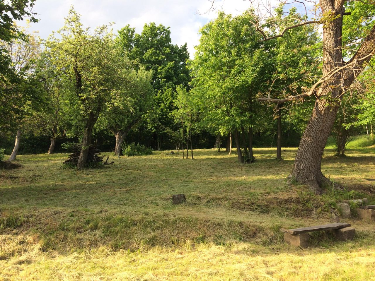 Działka budowlana Podchybie Pochów, ul. Widokowa. Zdjęcie 8