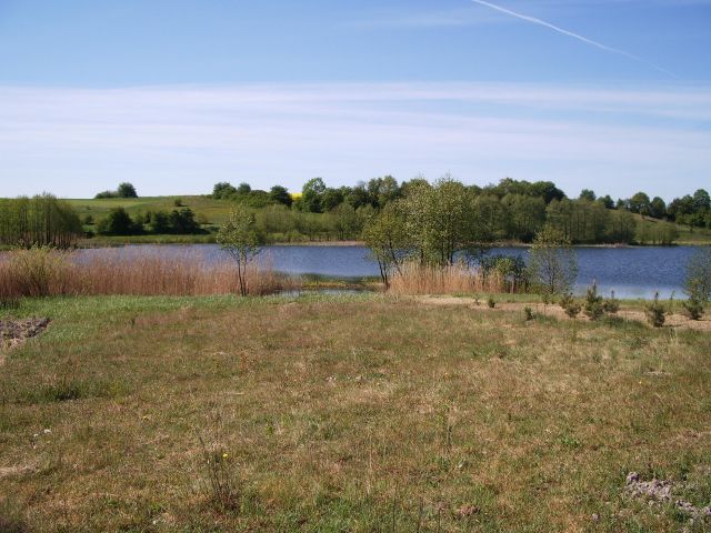 Działka rolna Zieleniewo. Zdjęcie 1