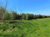 Działka budowlana Miłkowice. Zdjęcie 3