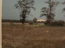 Działka budowlana Smołdziński Las. Zdjęcie 2