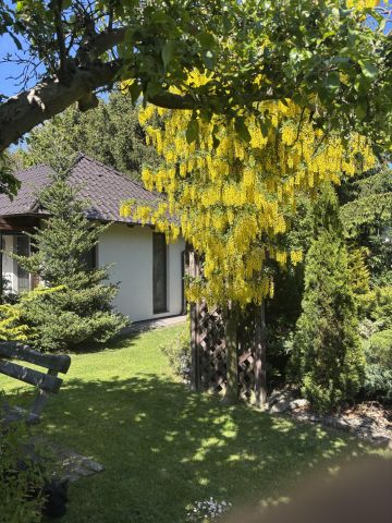 dom wolnostojący, 3 pokoje Chojnice Centrum, ul. Zaułek. Zdjęcie 6