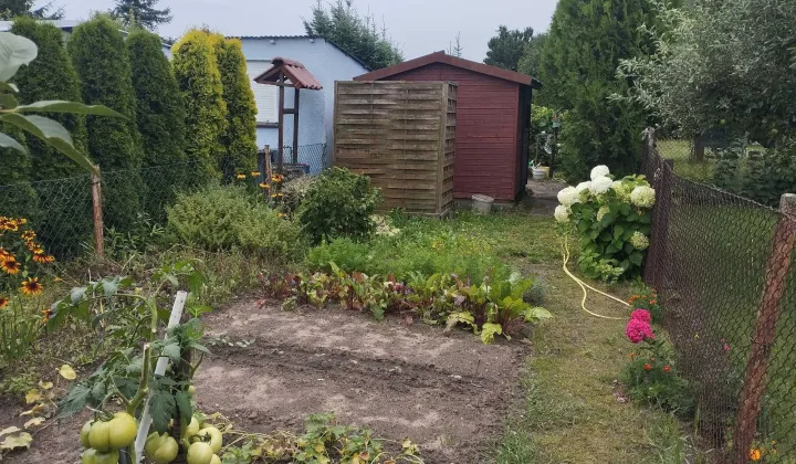 Działka rod Września