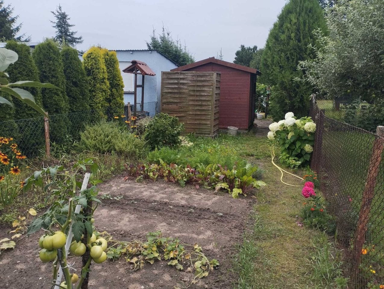 Działka rod Września