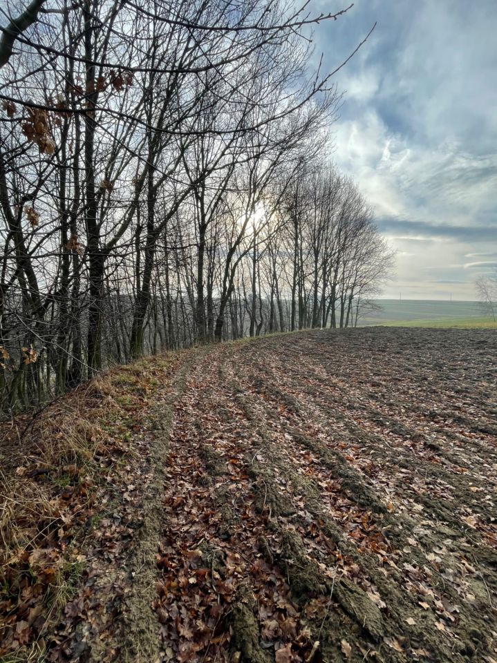 Działka budowlana Głębowice Łazy. Zdjęcie 4