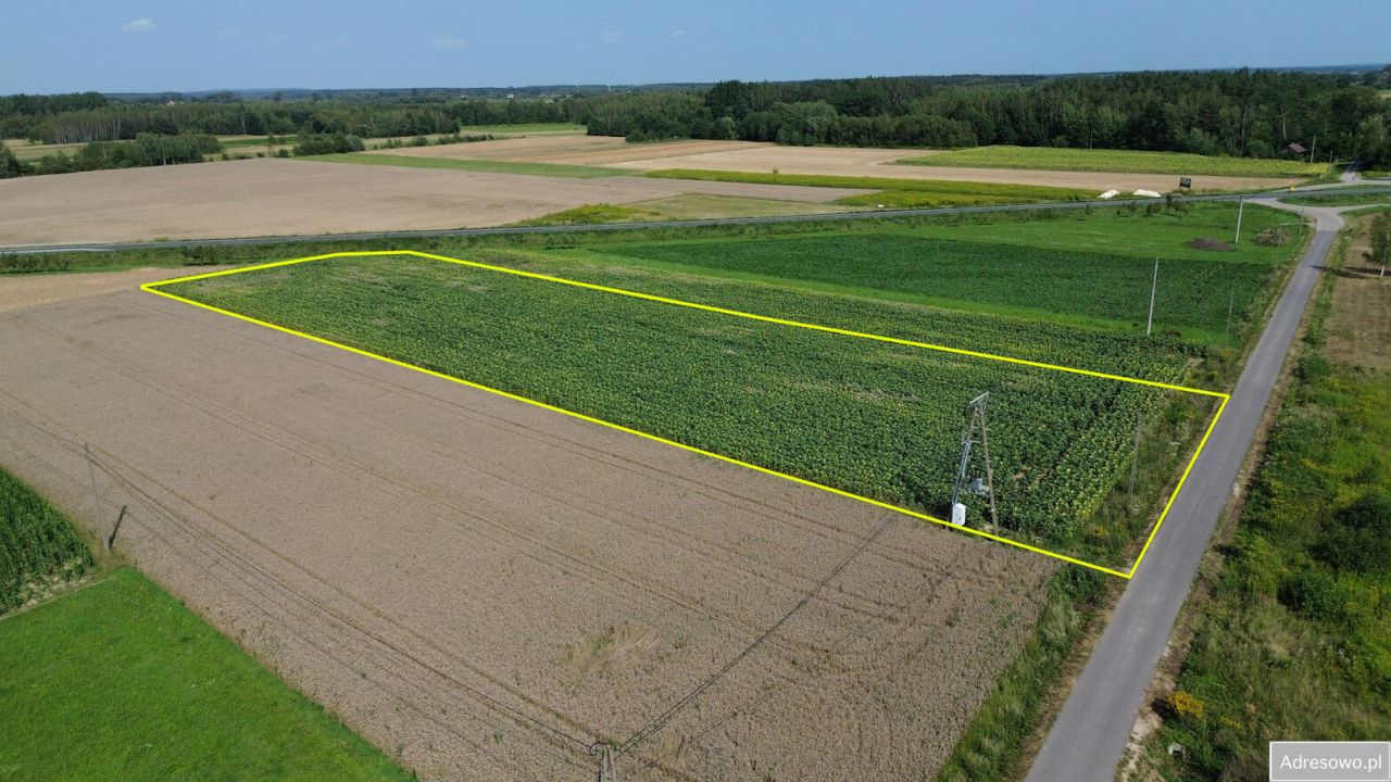 Działka budowlana Kliszów. Zdjęcie 4