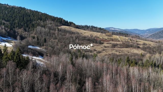 Działka rolna Kamienica. Zdjęcie 3