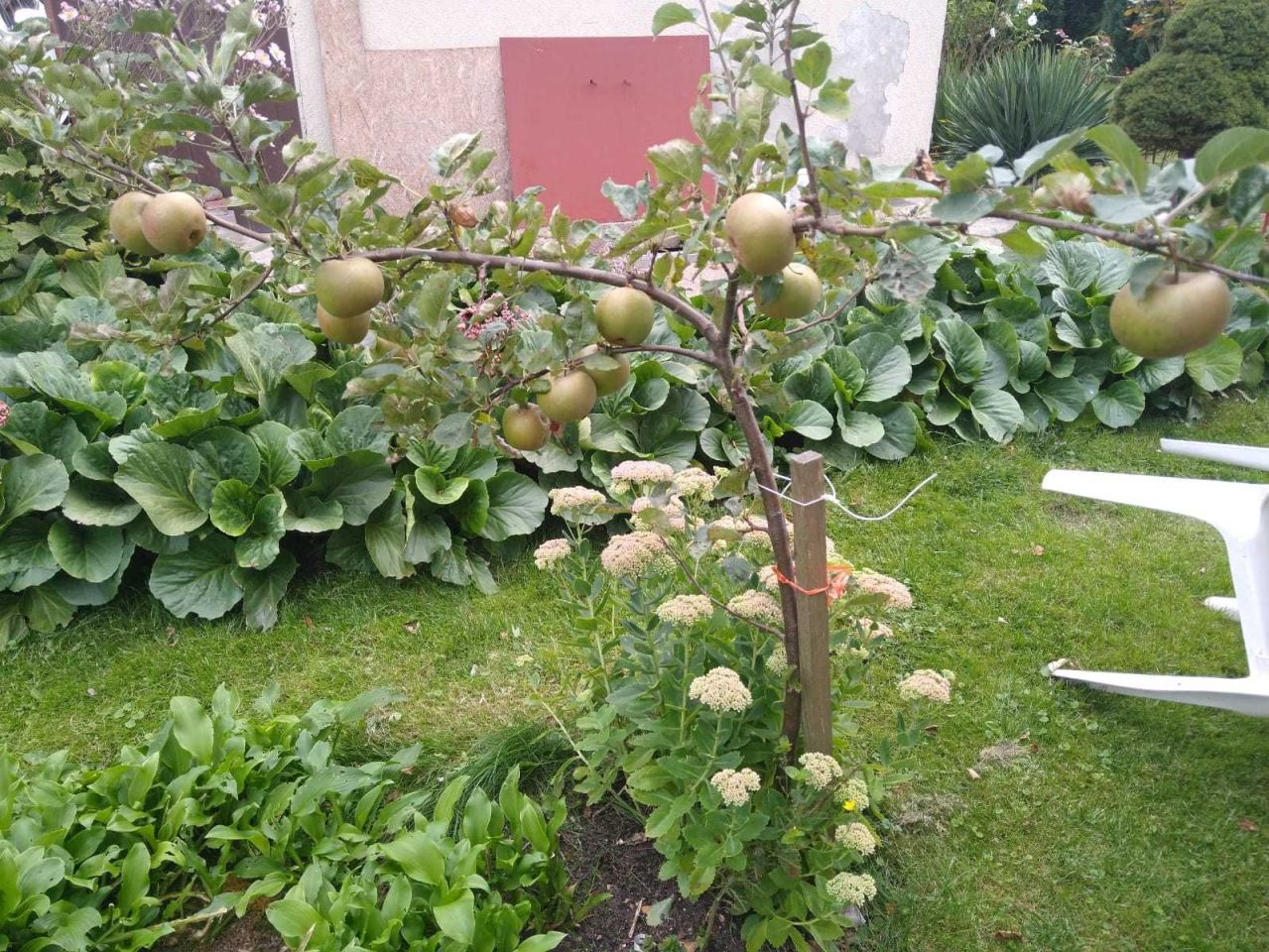 dom wolnostojący Dziwnówek. Zdjęcie 8