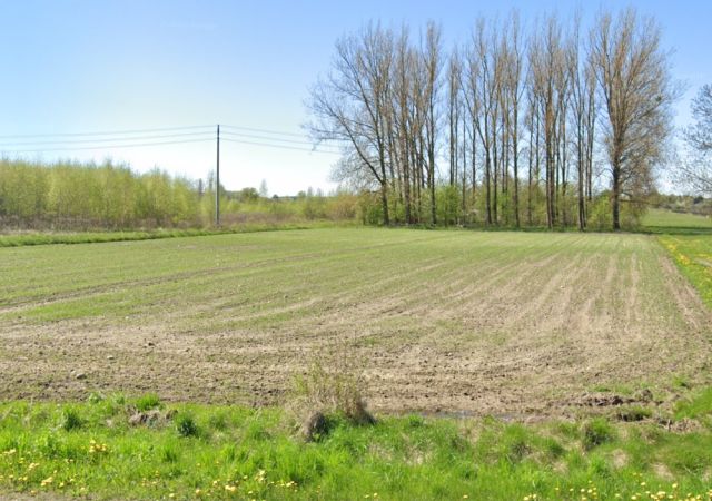 Działka budowlana Badowo-Dańki, ul. Grójecka. Zdjęcie 3