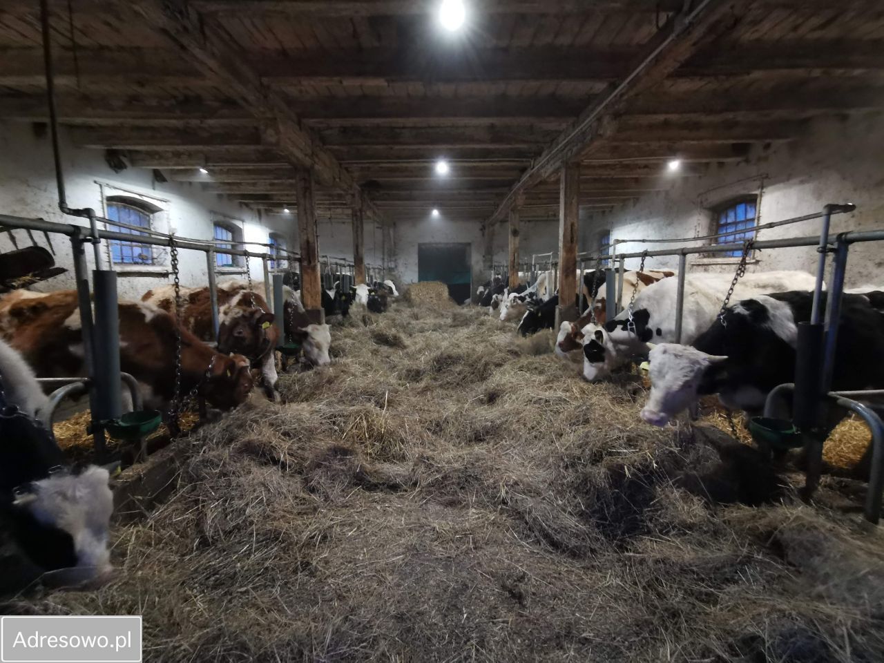 Nieruchomość komercyjna Pomnik. Zdjęcie 2