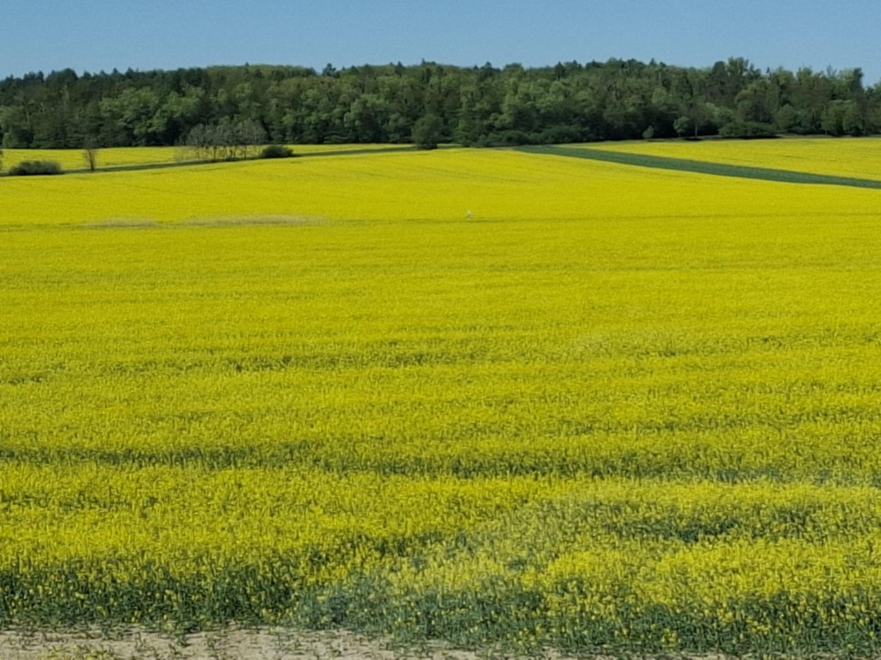 dom wolnostojący, 6 pokoi Siemianowice Śląskie Pszczelnik, ul. Żurawia. Zdjęcie 32
