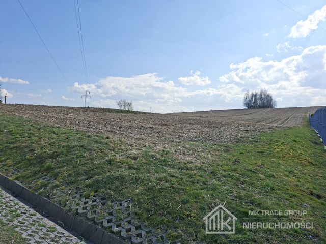 Działka Bodzanów. Zdjęcie 4