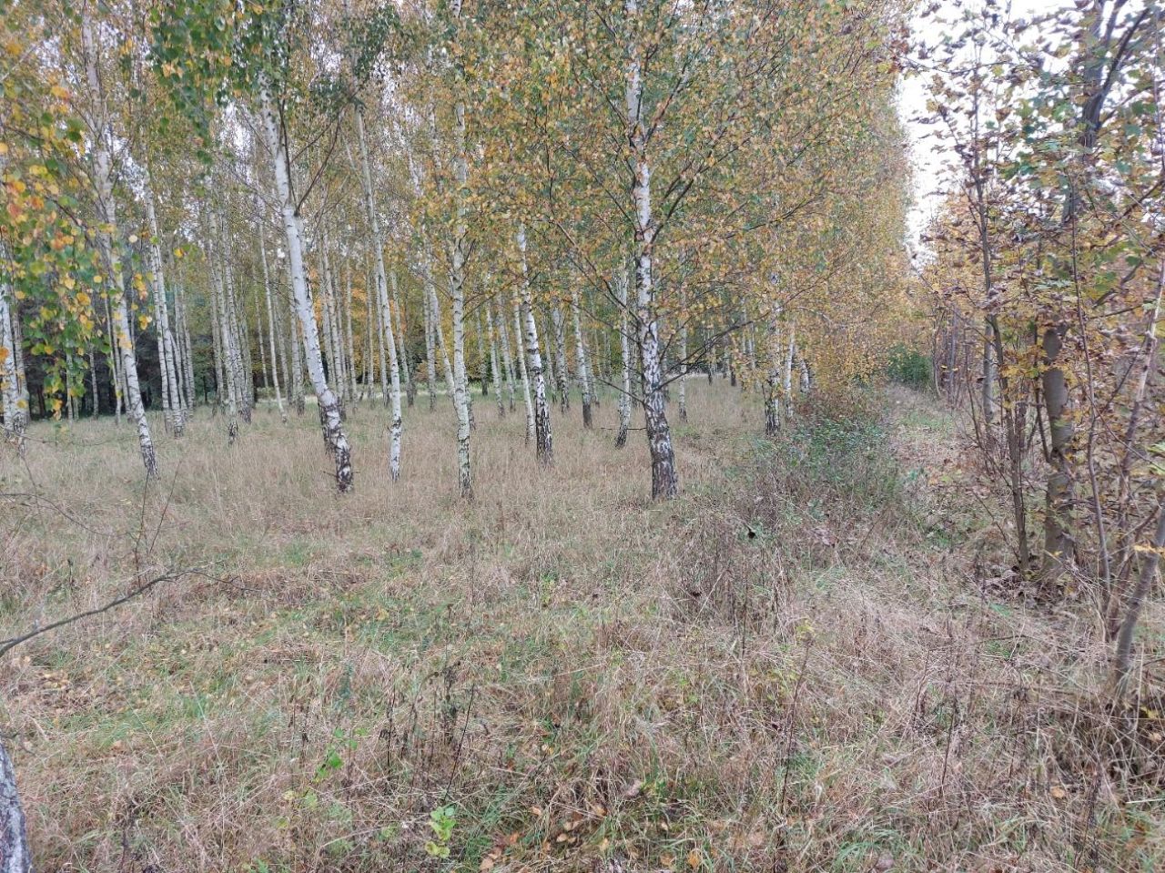 Działka rolno-budowlana Klecewko. Zdjęcie 7