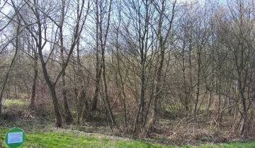 Działka rekreacyjna Kozły-Janowo