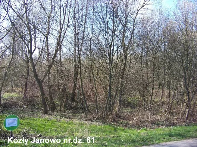 Działka rekreacyjna Kozły-Janowo