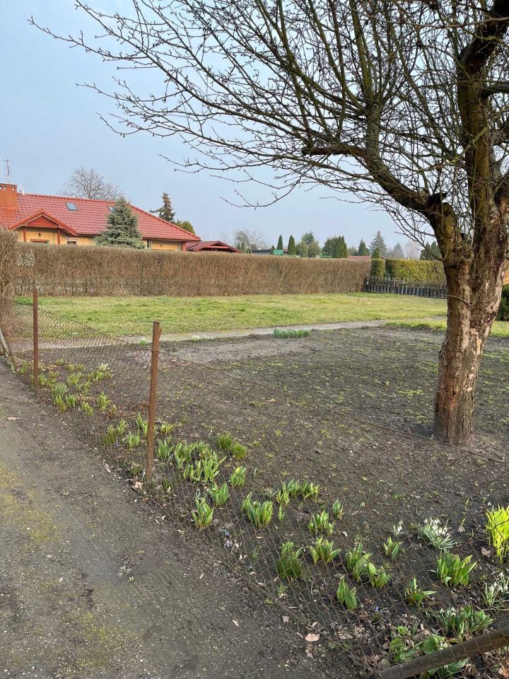 Działka rod Grudziądz, ul. Kochanowskiego. Zdjęcie 4