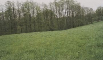 Działka rolna Mikołów Regielowiec, ul. Wschodnia