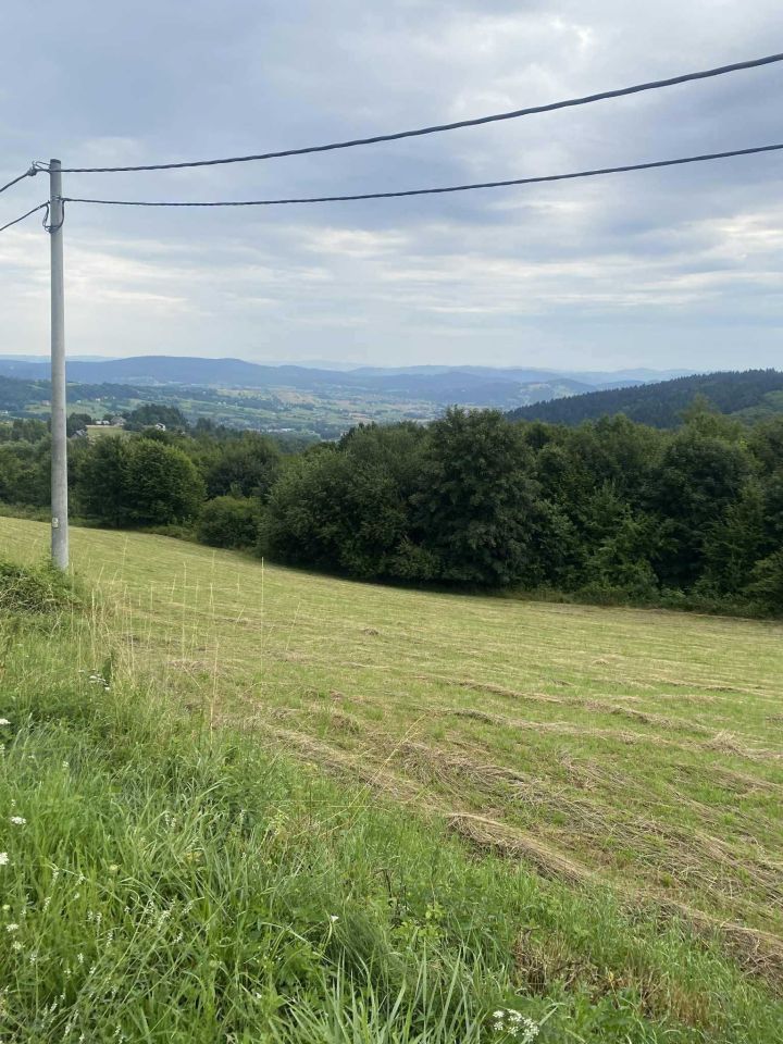 Działka rekreacyjna Wojakowa. Zdjęcie 4