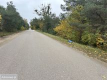 Działka rolno-budowlana Krajkowo. Zdjęcie 3