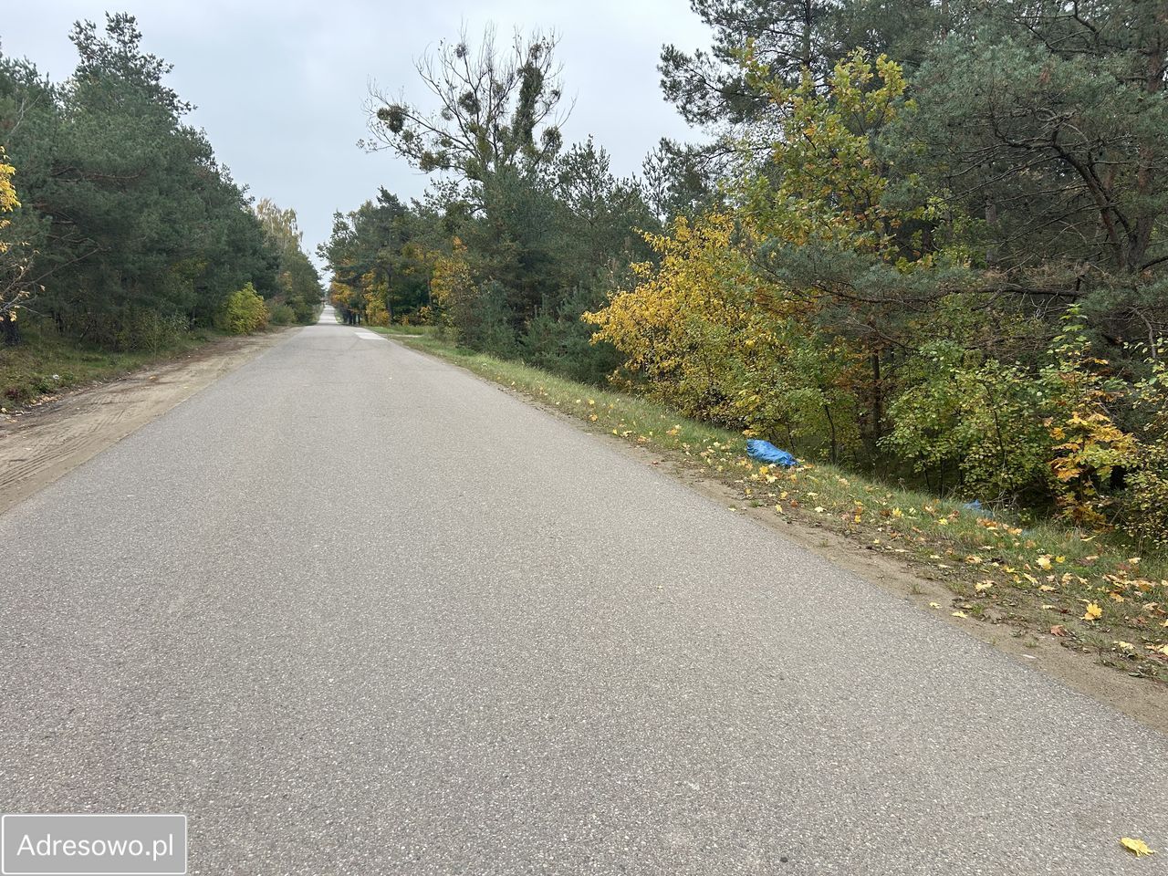 Działka rolno-budowlana Krajkowo. Zdjęcie 4