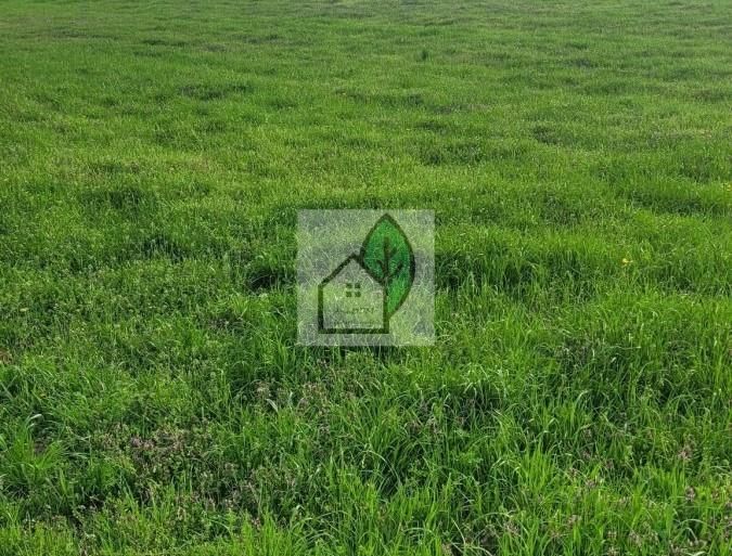 Działka budowlana Głosków. Zdjęcie 1
