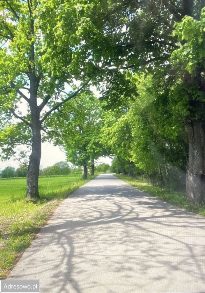 Działka rolna Mieruniszki. Zdjęcie 2