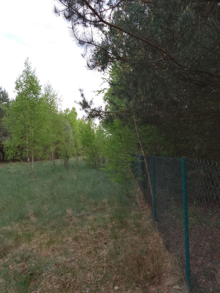 Działka rekreacyjna Adamówek, ul. Pańska. Zdjęcie 9