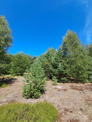 Działka budowlana Nowe Prażuchy Bielawy. Zdjęcie 3