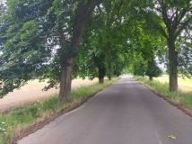 Działka budowlana Stara Dąbrowa. Zdjęcie 1