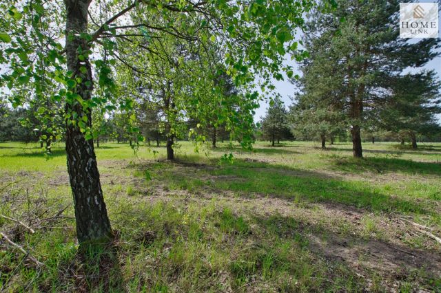 Działka inwestycyjna Maróz. Zdjęcie 10