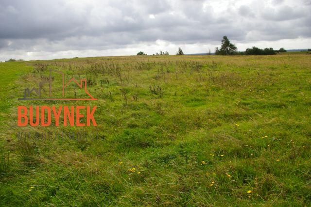 Działka budowlana Kopnica. Zdjęcie 14