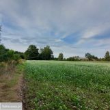 Działka rolno-budowlana Budy Dłutowskie. Zdjęcie 2