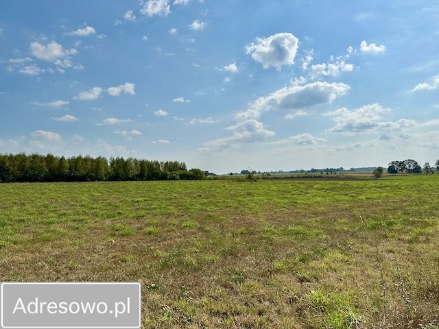 Działka budowlana Rafałówka. Zdjęcie 8