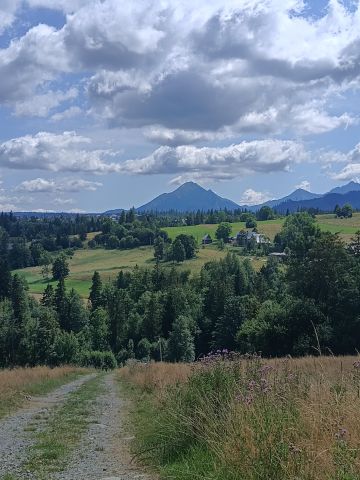 Działka rolna Zakopane Gawlaki, ul. Gawlaki. Zdjęcie 1