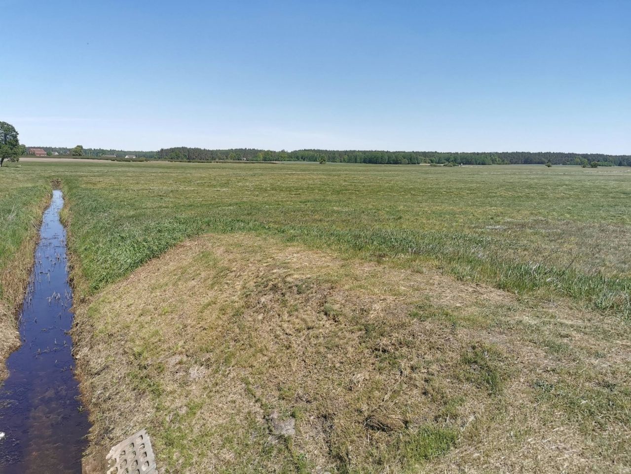 Działka rolna Święta. Zdjęcie 9