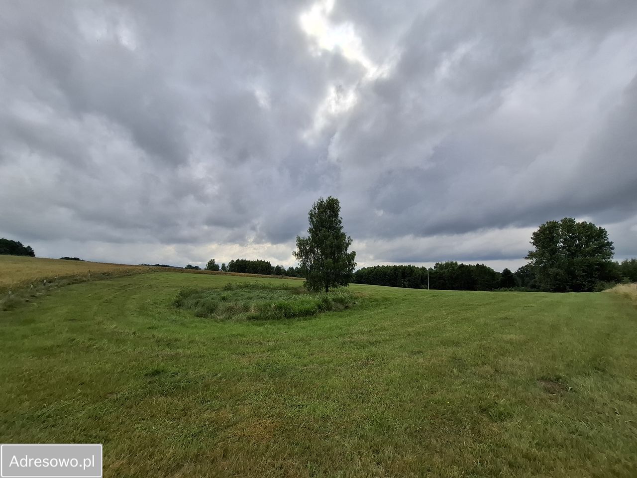 Działka rolna Pluty. Zdjęcie 3
