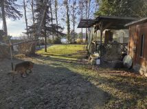 Działka rekreacyjna Ostrowiec. Zdjęcie 4