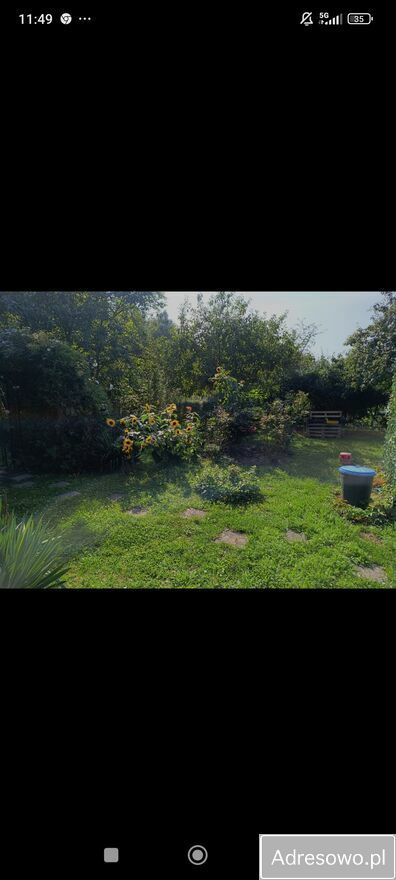 Działka rod Oleśnica. Zdjęcie 7