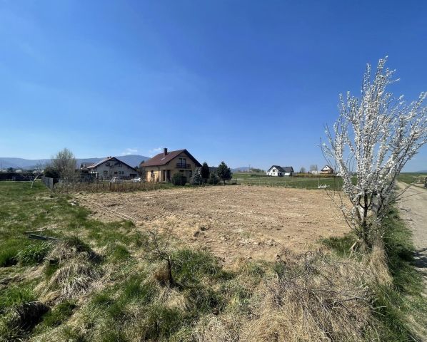 Działka budowlana Leśna, ul. Kameliowa. Zdjęcie 1