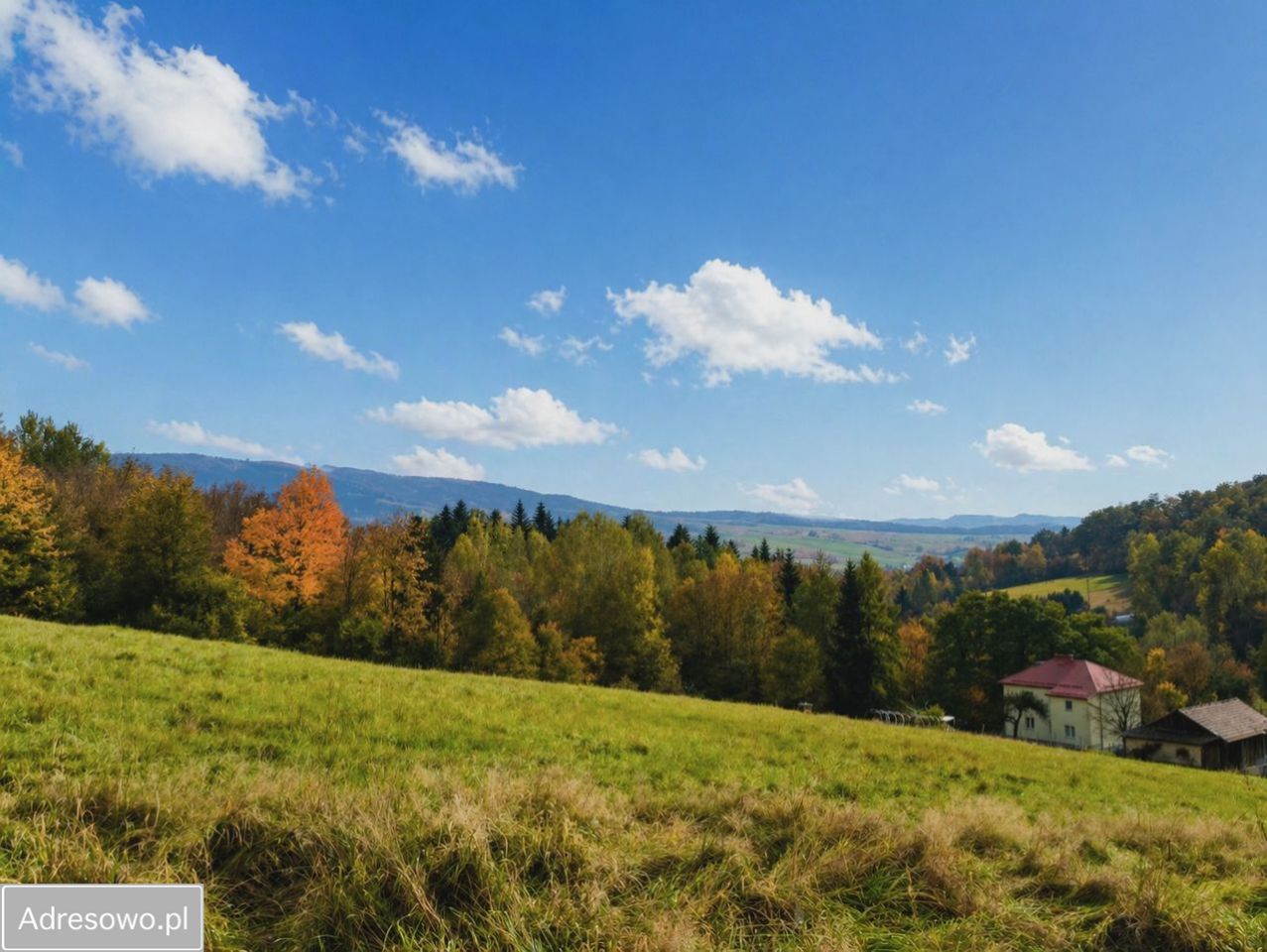 gospodarstwo, 3 pokoje Sękowa. Zdjęcie 4
