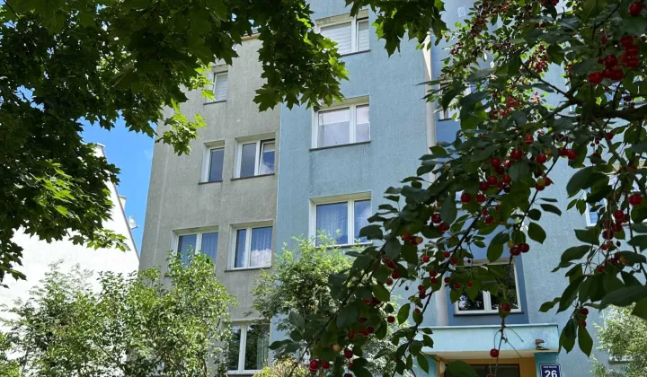 Mieszkanie 3-pokojowe Wołów, ul. Kazimierza Pułaskiego