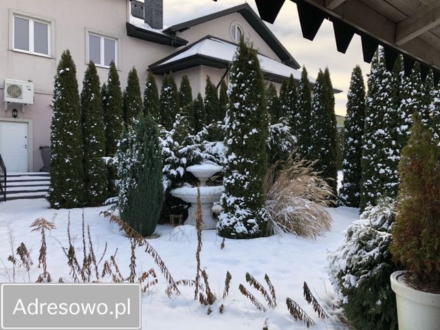 Lokal Pajęczno, ul. Przemysłowa. Zdjęcie 7